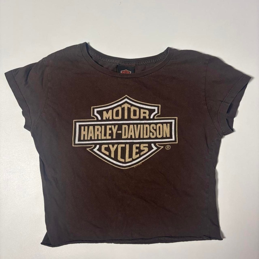 Brown Harley-Davidson Reel Brothers Madison WI Graphic T-Shirt - Women's S